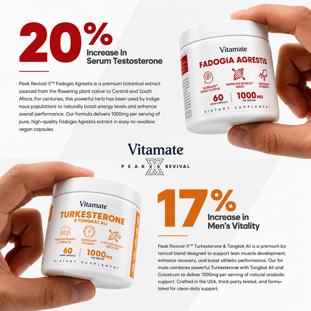 Muscle Stack – Testosterone Booster