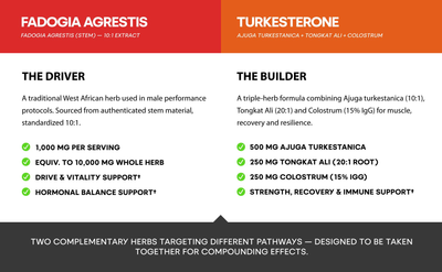 Muscle Stack – Testosterone Booster